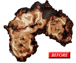 Before - Bringing Up Baby