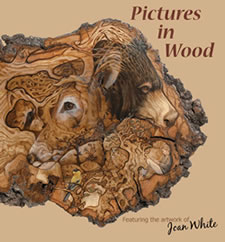 Pictures in Wood Book