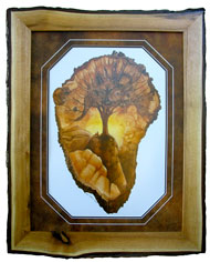 Sacred Tree - Butternut