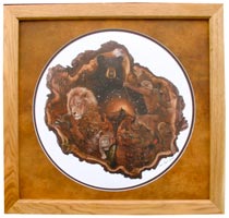 Beyond the Stars - standard butternut frame