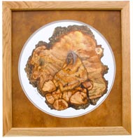 Elders Prayer in Standard butternut frame