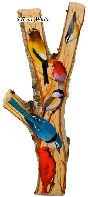 The Rainbow Branch
