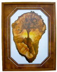 Sacred Tree - Oak