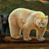 Spirit Bear